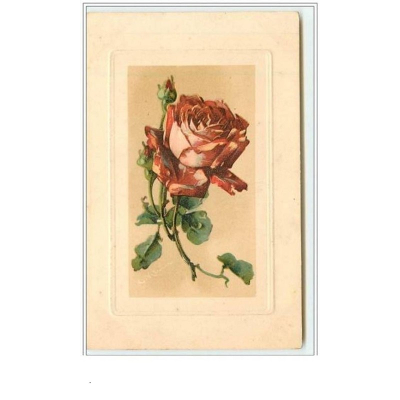 n°3373 - Catharina Klein - Rose rouge dans un encadrement