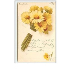 n°3374 - Catharina Klein -...