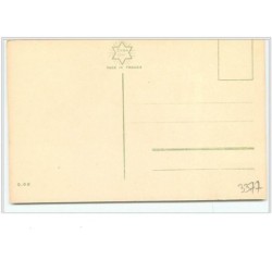 n°3377 - Catharina Klein - Anémones et mimosa