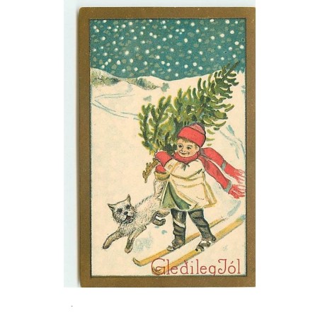 n°3442 - Gledilegjol - Enfant à ski et son chien