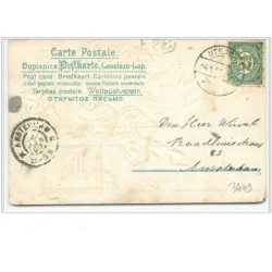 n°3449 - Carte Gaufree - Femme sur un cochon
