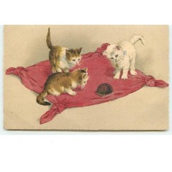 n°3529 - Chats guettant une...