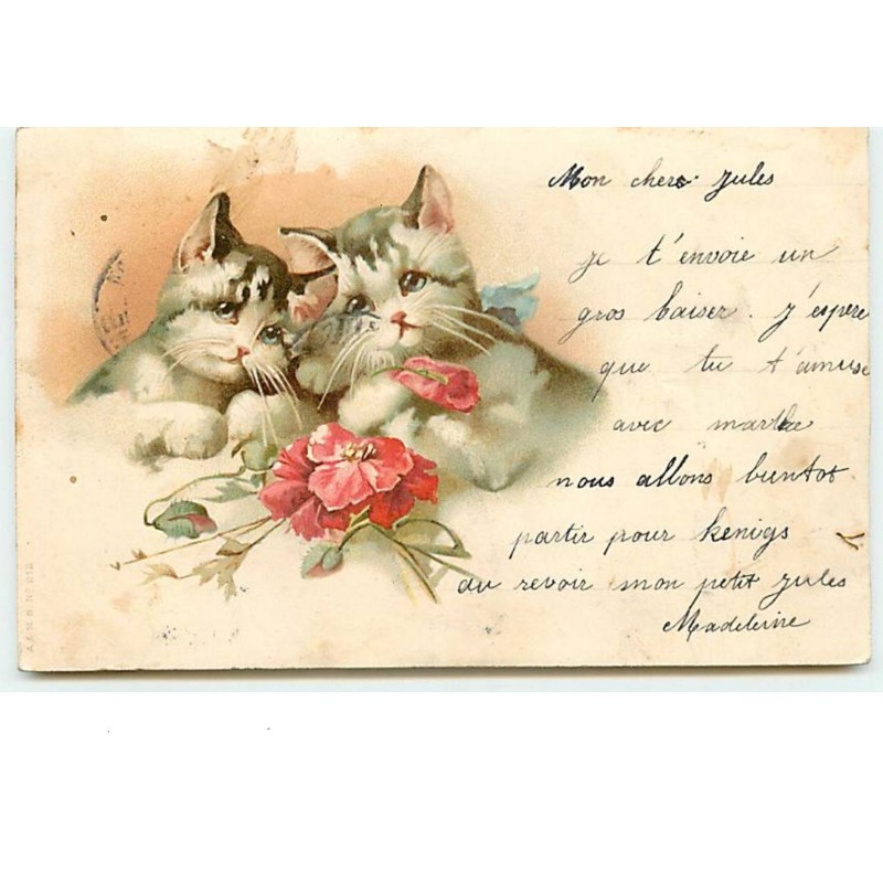 n°3530 - Chats avec des coquelicots  A &  MB n°212