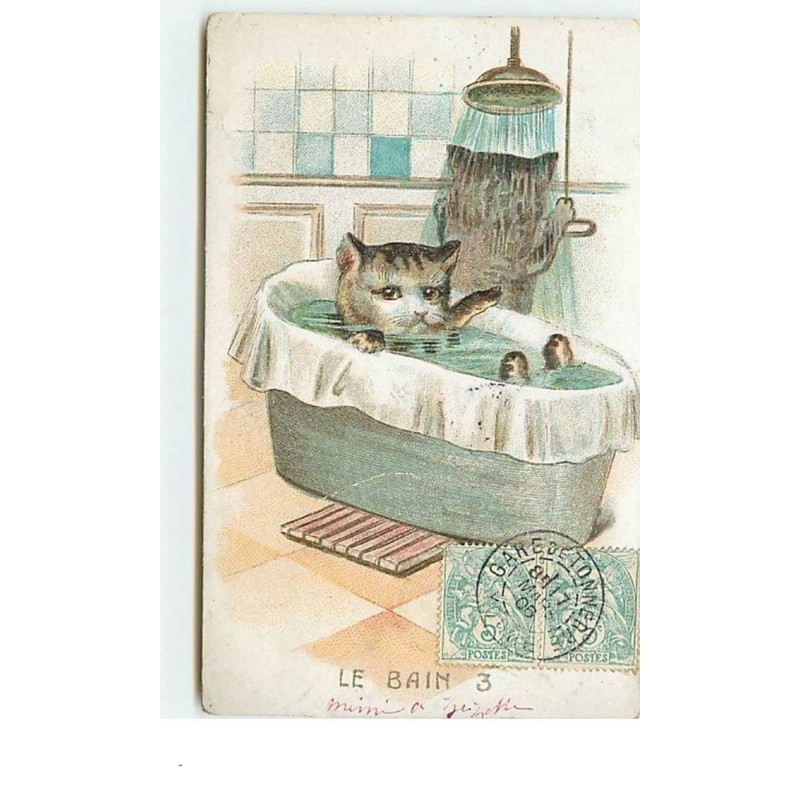 n°3533 - Chats faisant leur toilette - Le Bain°3