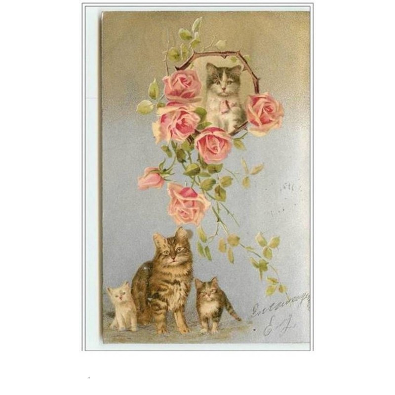 n°3541 - Fond argent - Chats et roses