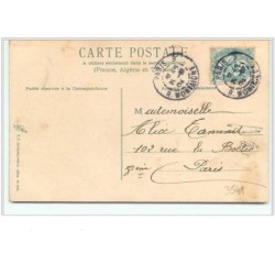 n°3541 - Fond argent - Chats et roses