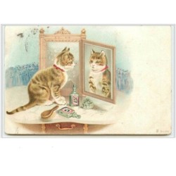 n°3542 - Chat se regardant...
