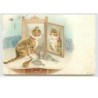 n°3542 - Chat se regardant dans un miroir