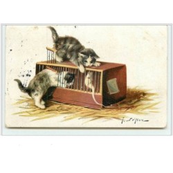 n°3543 - Chats jouant avec...
