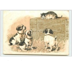 n°3547 - Chiens regardant...