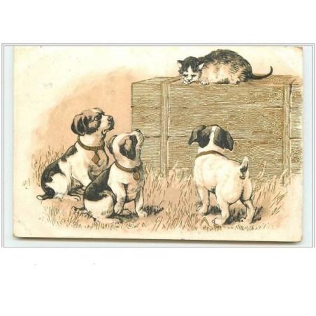 n°3547 - Chiens regardant un chat sur une caisse