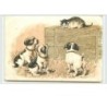 n°3547 - Chiens regardant un chat sur une caisse