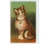 n°3550 - Portrait d'un chat roux avec une clochette