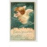 n°3586 - Frohliche Weihnachten - Clapsaddle - Tete d'ange dans les etoiles -