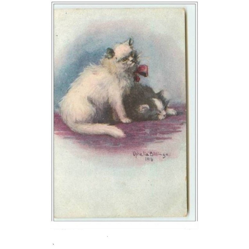 n°3641 - Ophélia Bellinge - Chats de Perse