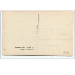 n°3641 - Ophélia Bellinge - Chats de Perse