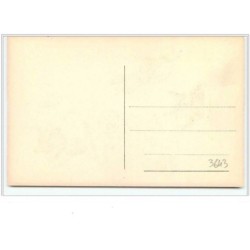 n°3643 - C. Em. Smit. - Chats sautant du plongeoir