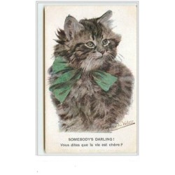 n°3644 - Chat avec un ruban...
