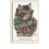 n°3644 - Chat avec un ruban vert - Somebody's Darling