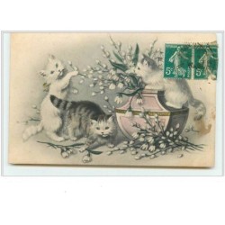 n°3647 - Chats jouant...
