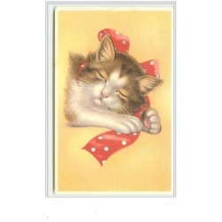 n°3648 - Chat endormi avec...