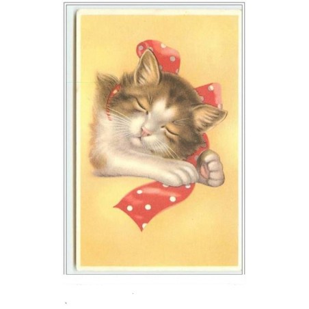 n°3648 - Chat endormi avec un ruban rouge à pois blanc