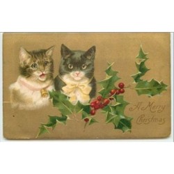 n°3774 - A Merry Christmas...
