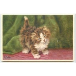 n°3779 - D. Merlin - chaton...