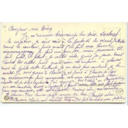 n°3779 - D. Merlin - chaton apeuré