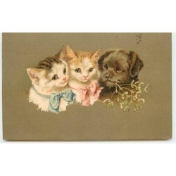 n°3783 - Portrait chats et...