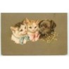 n°3783 - Portrait chats et chien