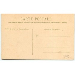 n°3783 - Portrait chats et chien