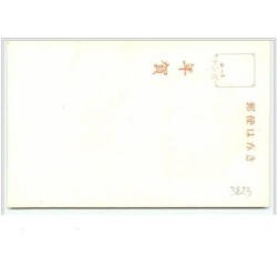 n°3823 - Illustration Japonaise - Petit Tigre