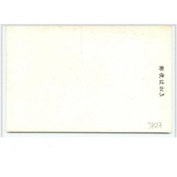 n°3827 - Illustration Japonaise - Grand Tigre