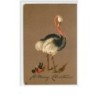 n°3846 - MCF - Enfant noir et Autruche - Raphael Tuck