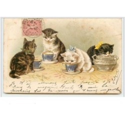n°3874 - Chats buvant dans...