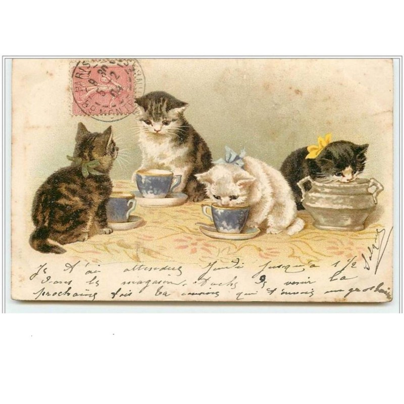 n°3874 - Chats buvant dans des tasses