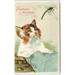 n°3882 - Souhaits Sincères...