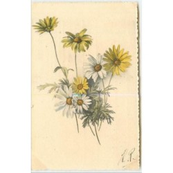 n°3919 - Catharina Klein -...