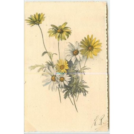 n°3919 - Catharina Klein - Bouquet de marguerites