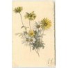 n°3919 - Catharina Klein - Bouquet de marguerites