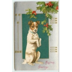 n°4026 - Carte Gaufrée -...