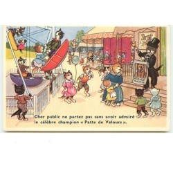 n°4050 - Chats humanisés -...