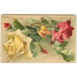n°4153 - Catharina Klein -...