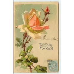 n°4156 - Catharina Klein -...