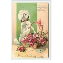 n°4435 - Carte Gaufrée -...