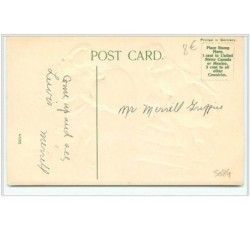 n°5084 - Carte Gaufrée - Valentine Greetings - Garçon présentant son coeur