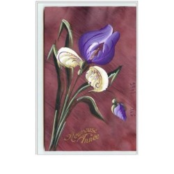 n°5234 - Carte celluloïd...