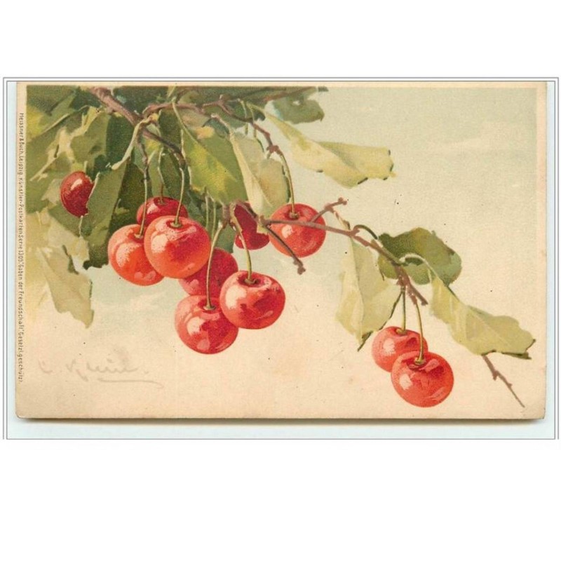 n°5321 - Catharine Klein - Meissner amp  Buch - Cerises