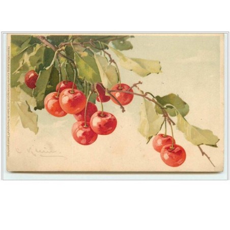 n°5321 - Catharine Klein - Meissner amp  Buch - Cerises